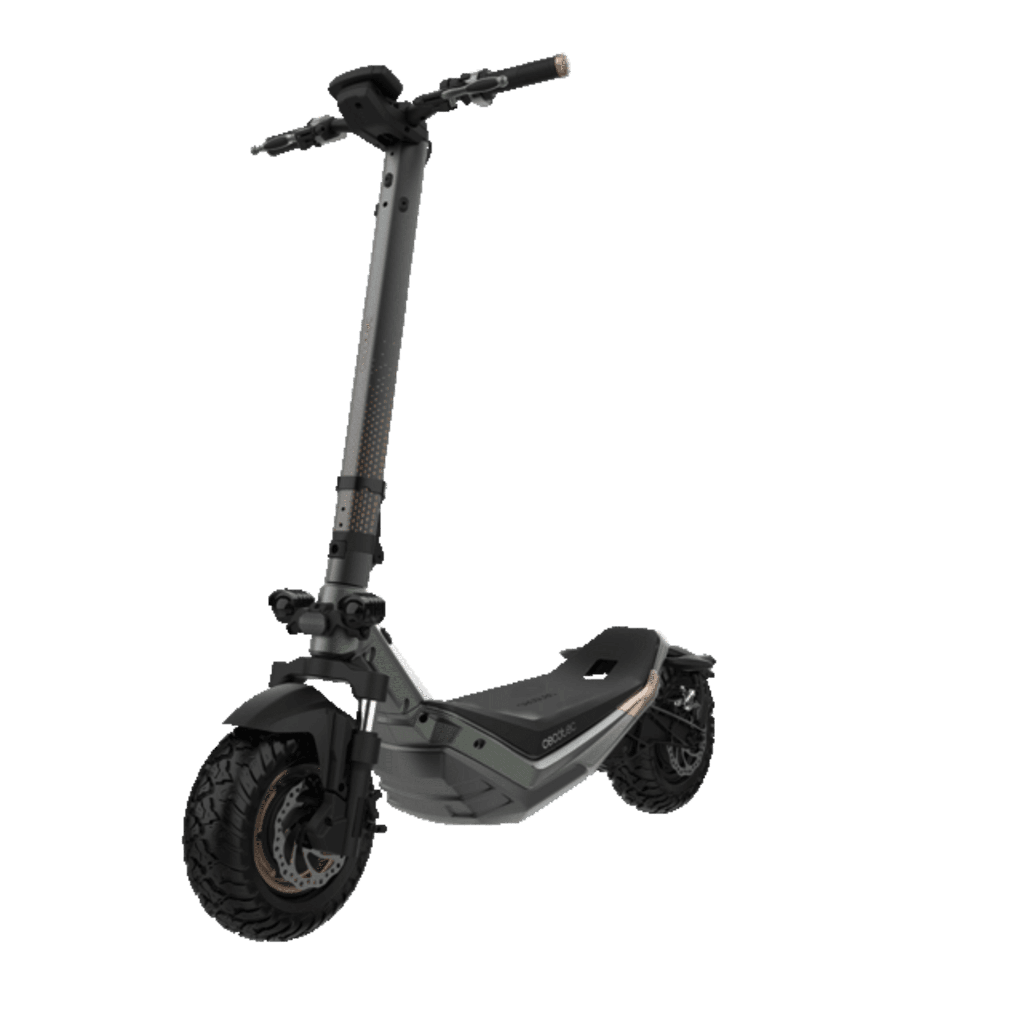 Bongo Doppelserie Z85