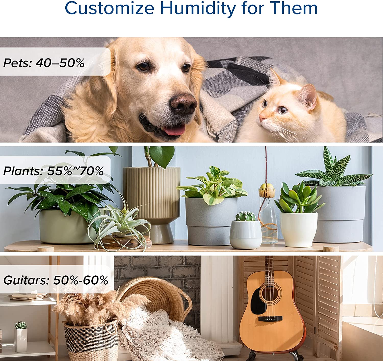 Humidificateurs LEVOIT pour chambres et grandes pièces, humidificateur à vapeur chaude et froide de 6 L pour maisons et plantes, avec capteur d'humidité intégré