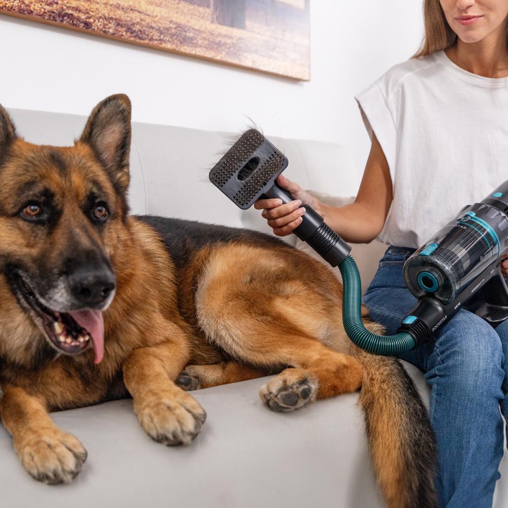 Rockstar 2500 Thunder Flex Animal Conga