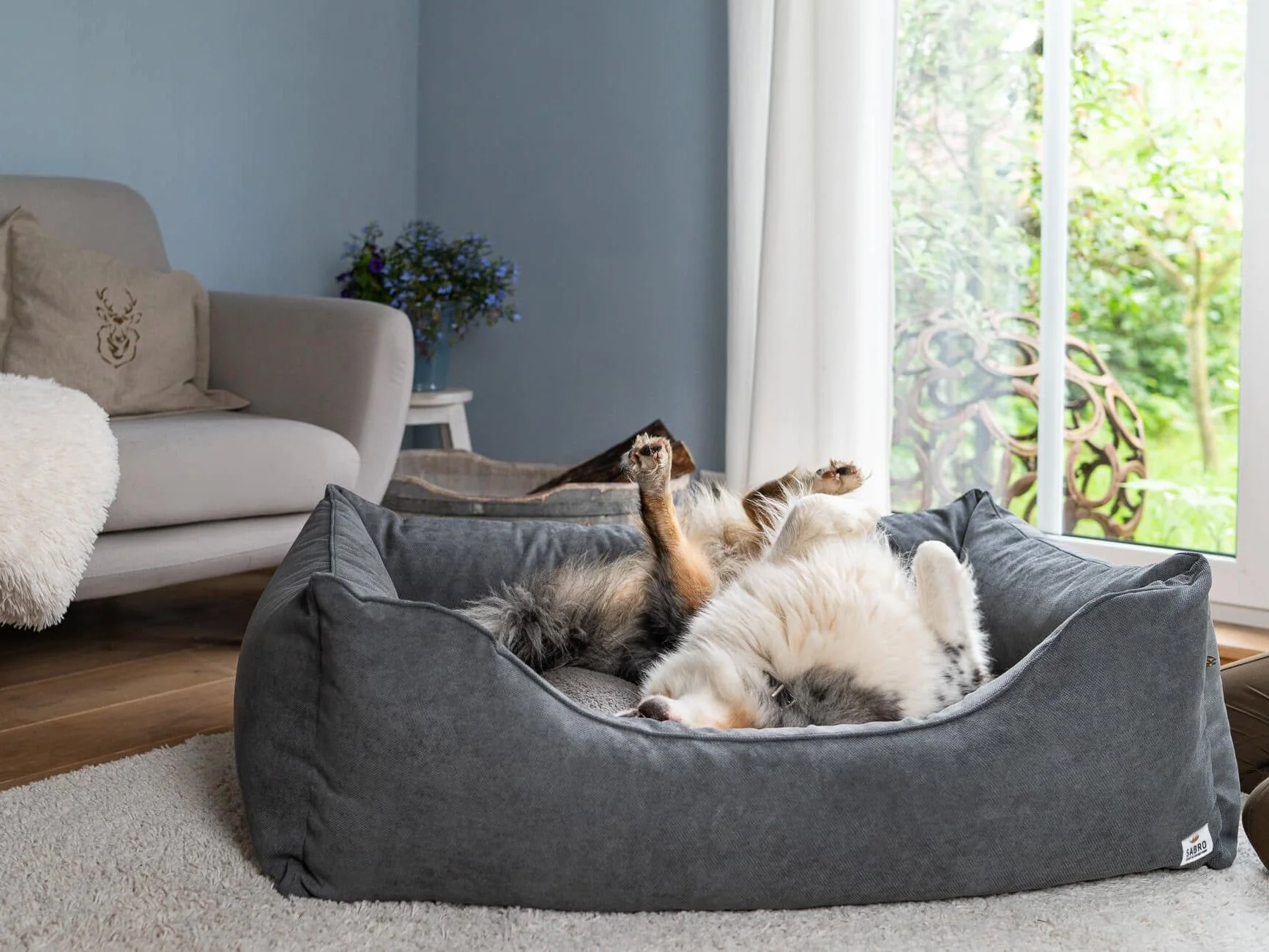 2025 LALELU Hundeseng