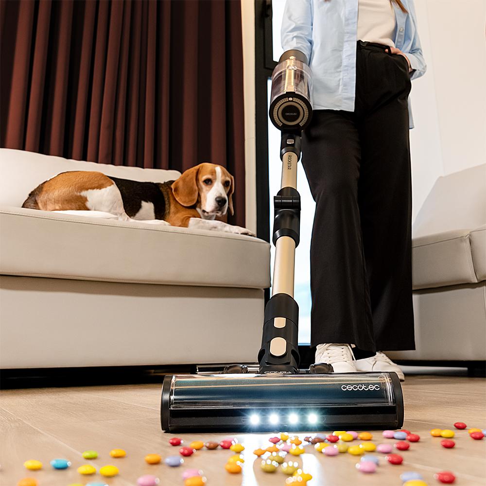 Rockstar 5500 Hurricane Station Pet Flex Conga