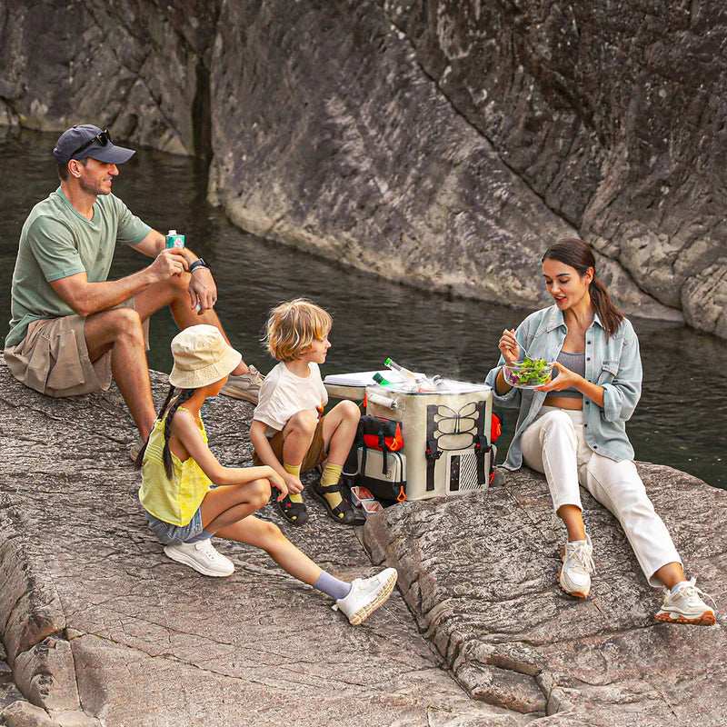 2025 Litheli FrozenPack – Tragbare Kühlbox im Rucksackformat