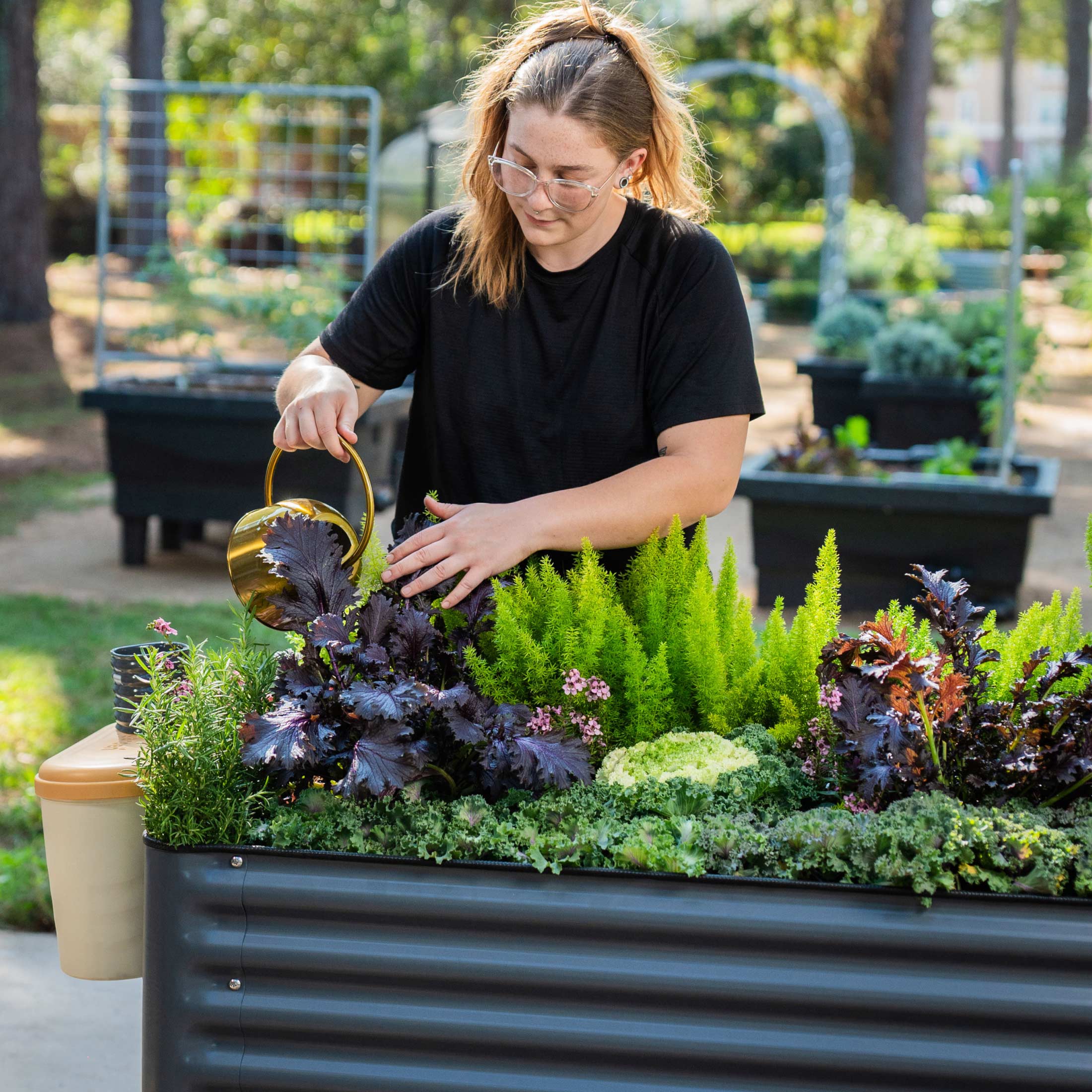 2025 Hævet plantekasse – V-serien 2' x 6'