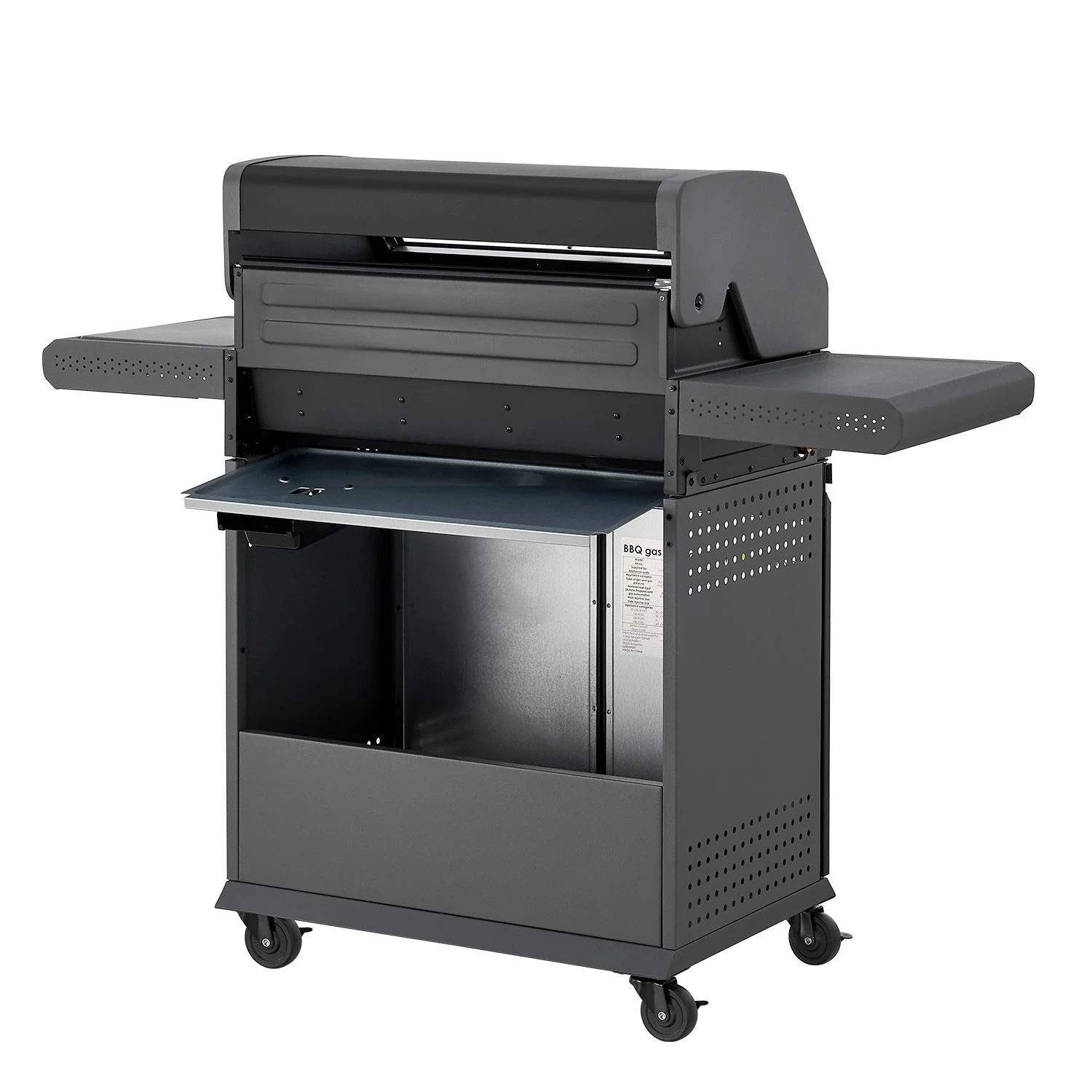 Barbecue à gaz Savannah 2025