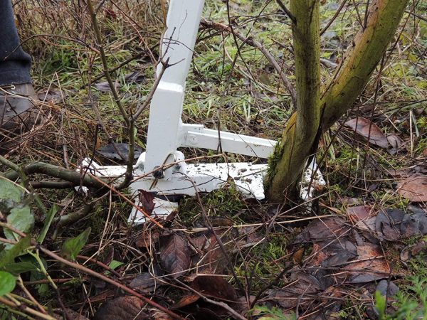 Pullerbear Baumzieher und Unkrautzieher