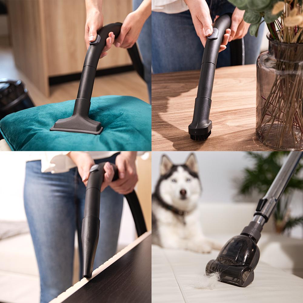 Rockstar Multicyclonic XXL Animal Conga