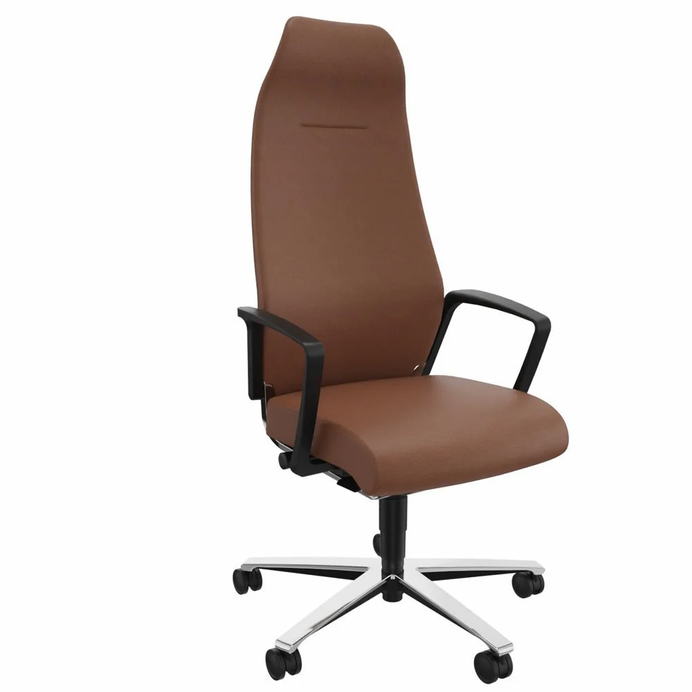 2025 Züco Selvio E 0156 Ergonomisk kontorstol | Fuldt polstret høj ryglæn | Nakkestøtte