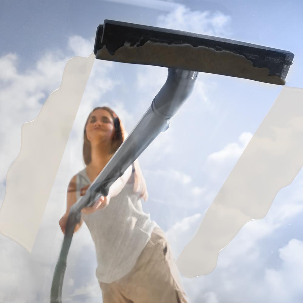 Conga CarpetClean 20000 Max