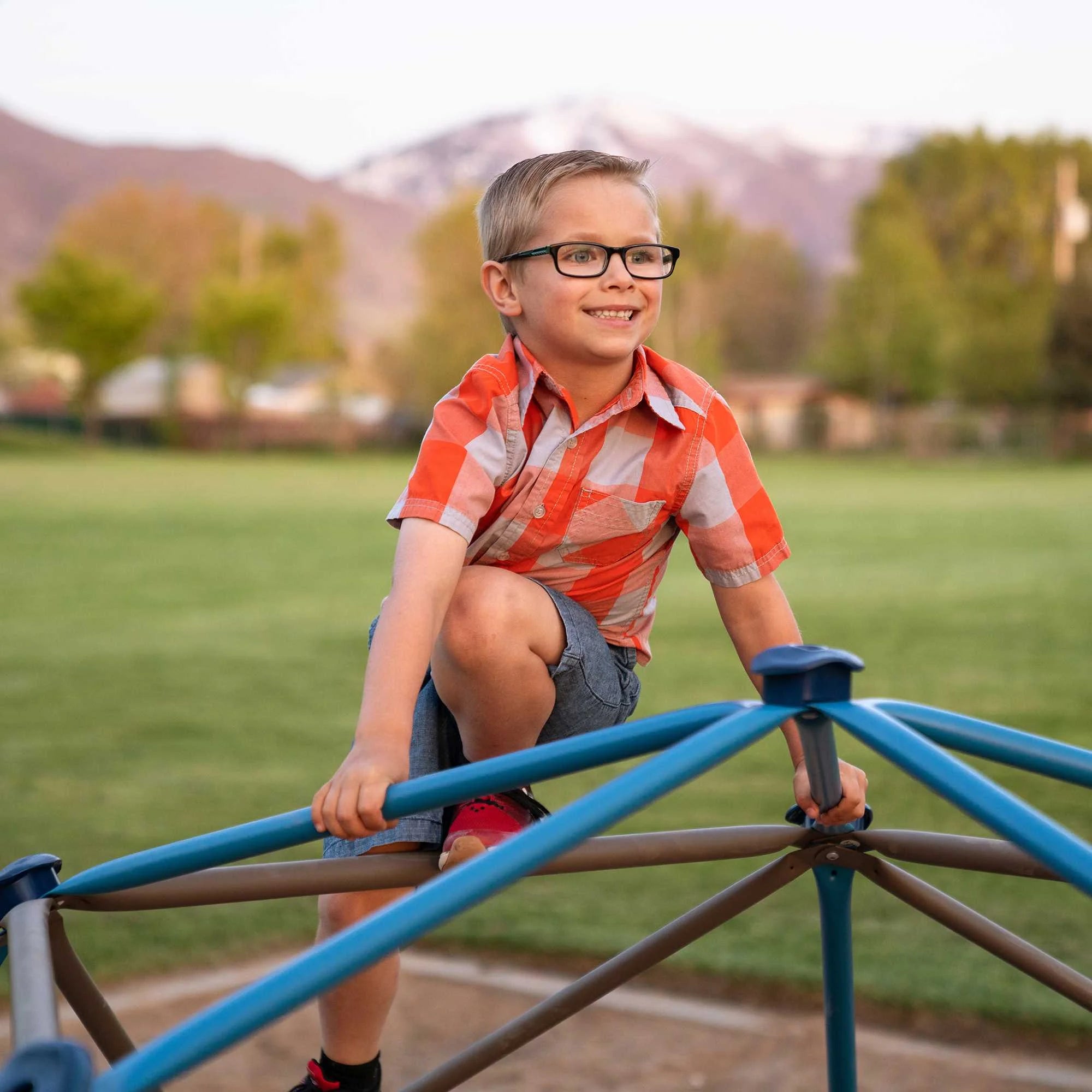 Dôme d'escalade d'extérieur Lifetime pour enfants, 1,4 m de hauteur x 2,7 m de largeur, bleu et marron (90939)