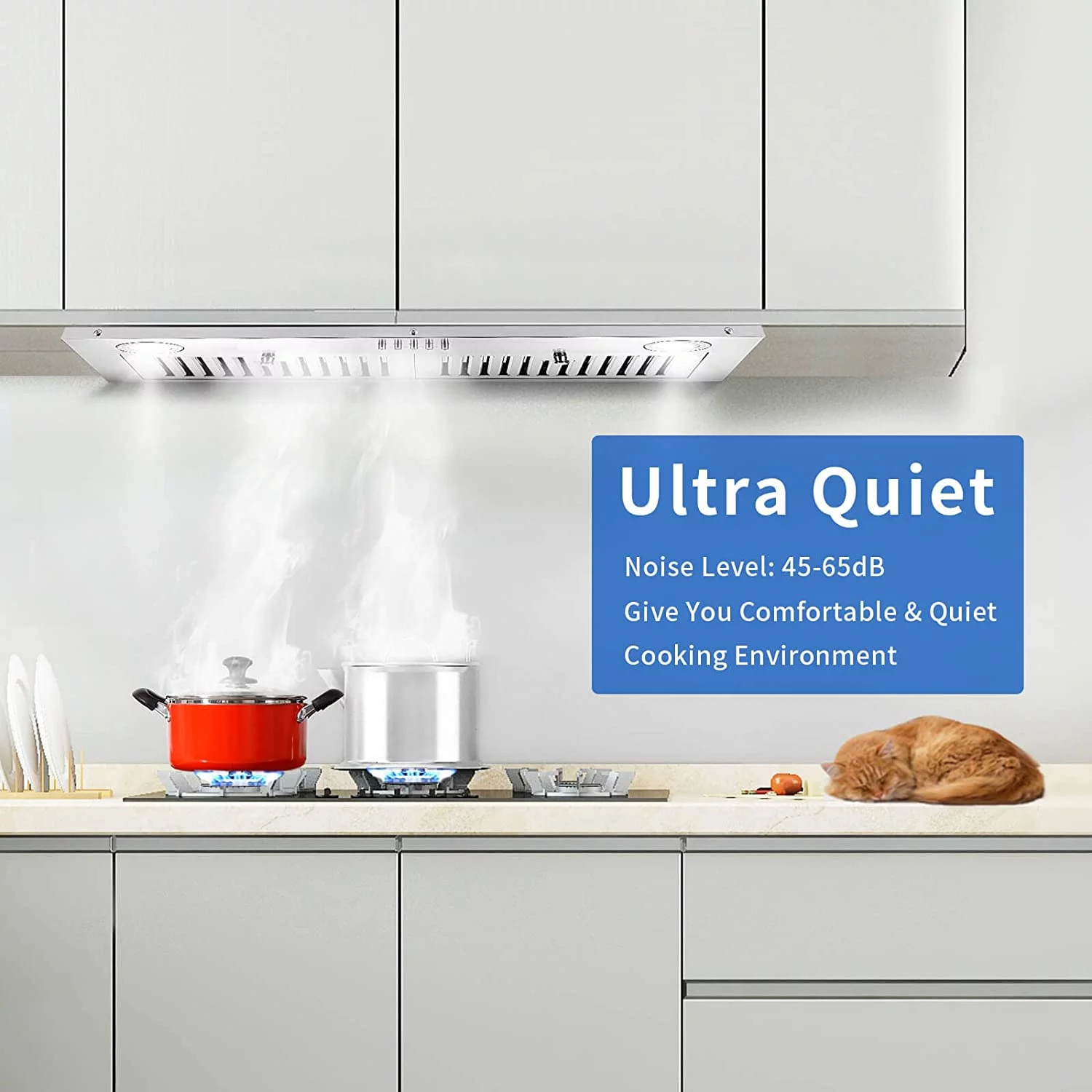 76 cm indbygget emhætte med kraftig udsugningsventil. 600 CFM