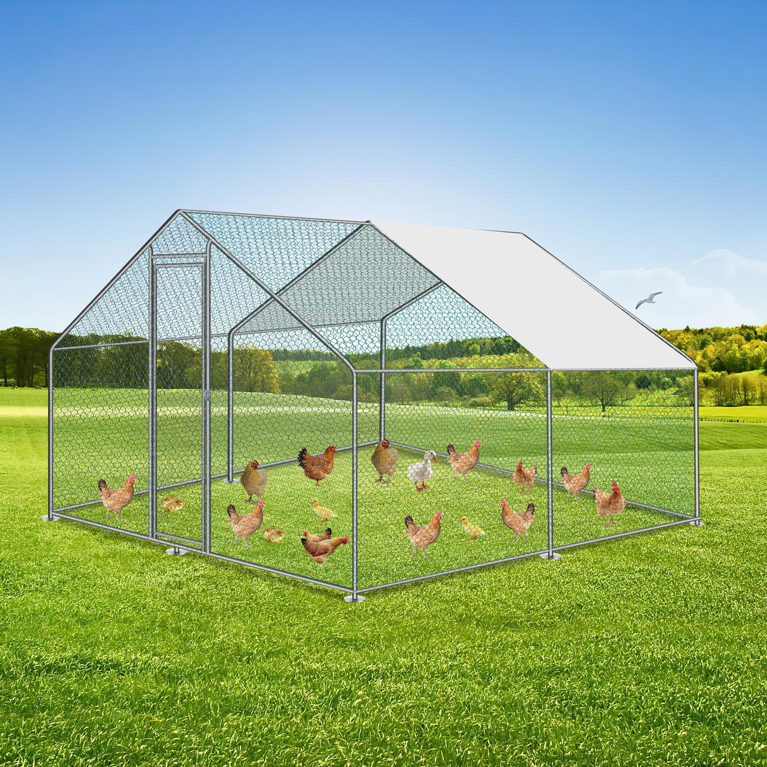 Sonnewelt 2025 Metall-Hühnerstall mit Markise, 3 x 3 x 2 m