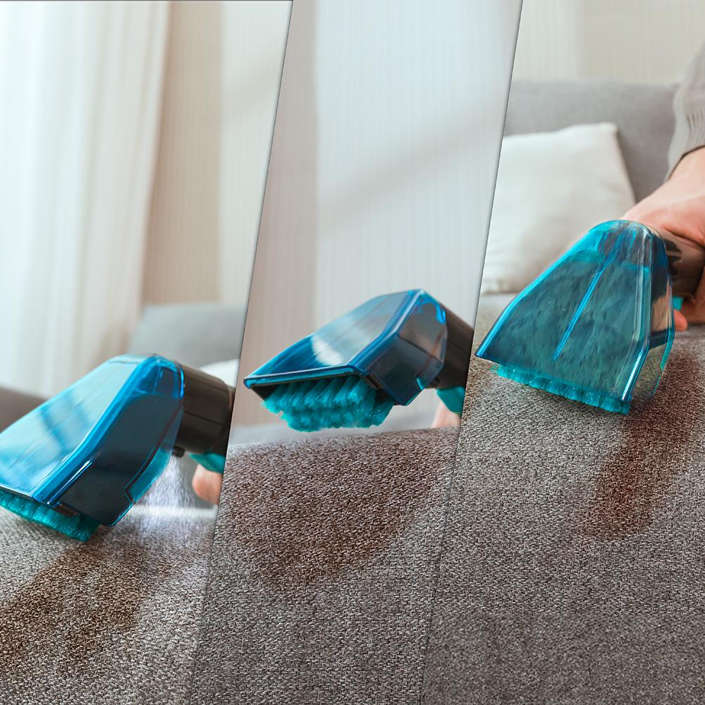 Conga 5000 Teppich- und Fleckenreiniger XXL