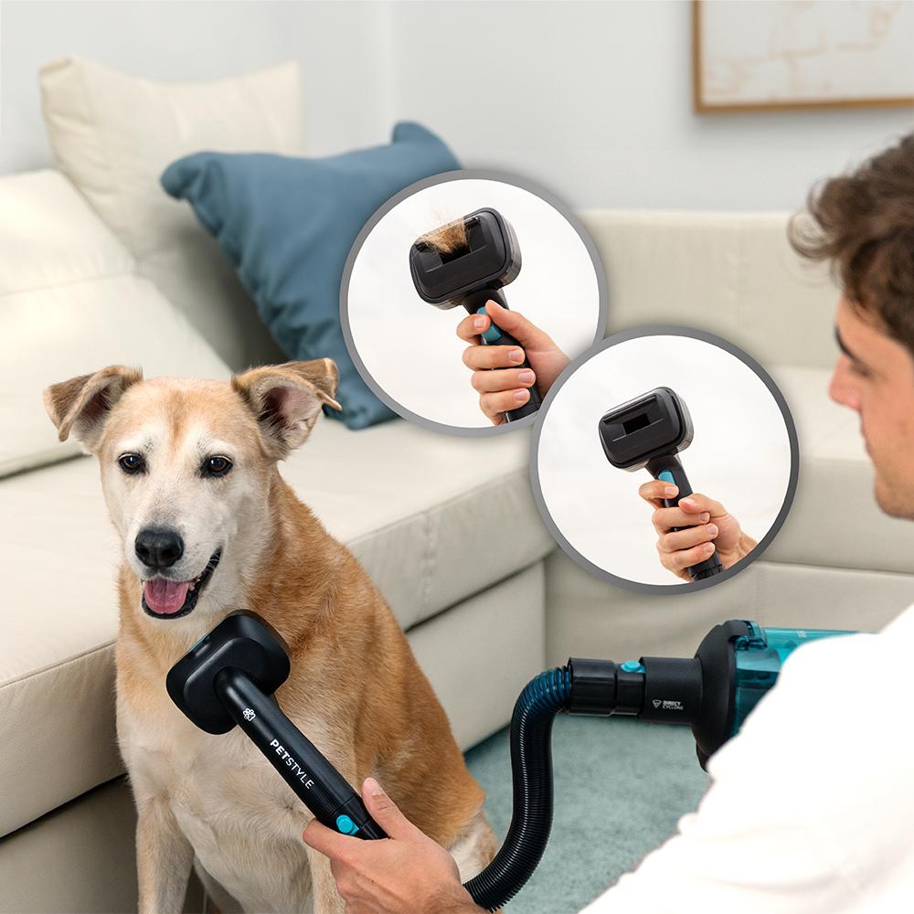 Rockstar 9500 Lunar Pet Flex Conga