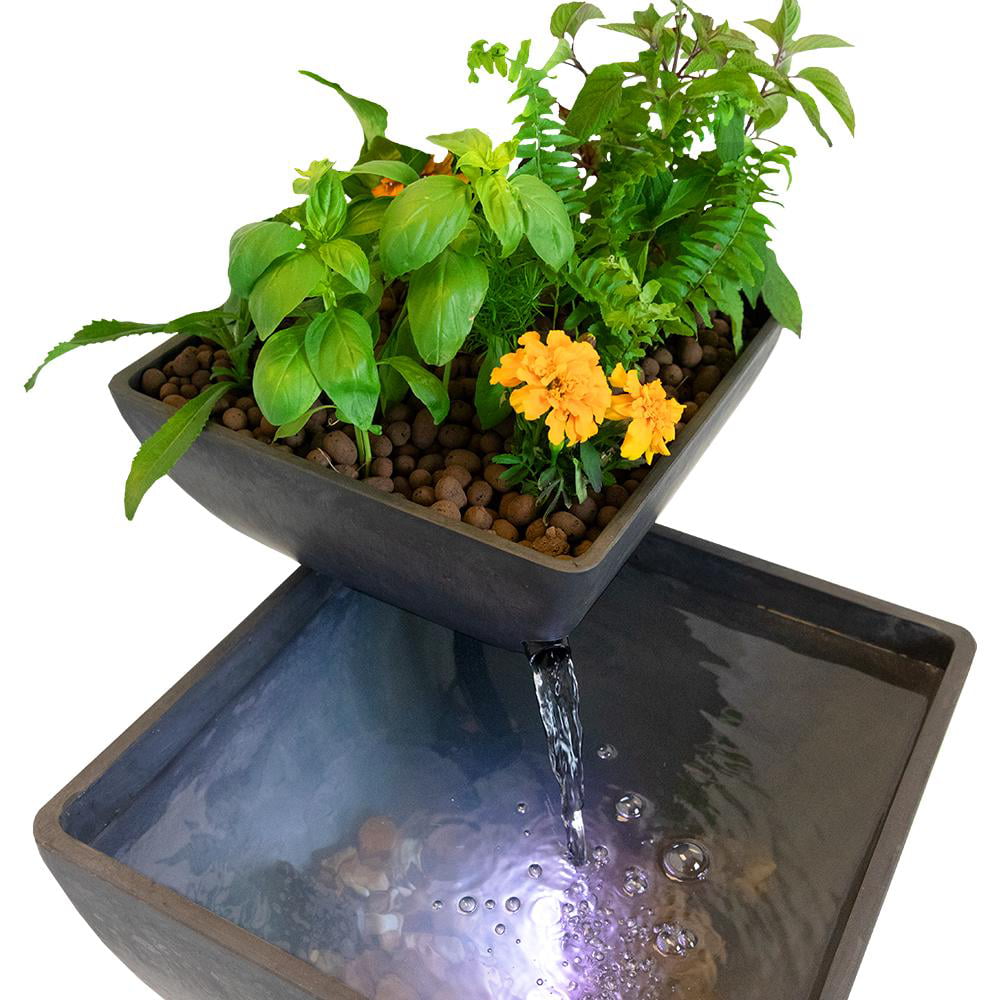 AquaSprouts-fontæne: Hydroponisk vandhave, akvaponik (237 liter)