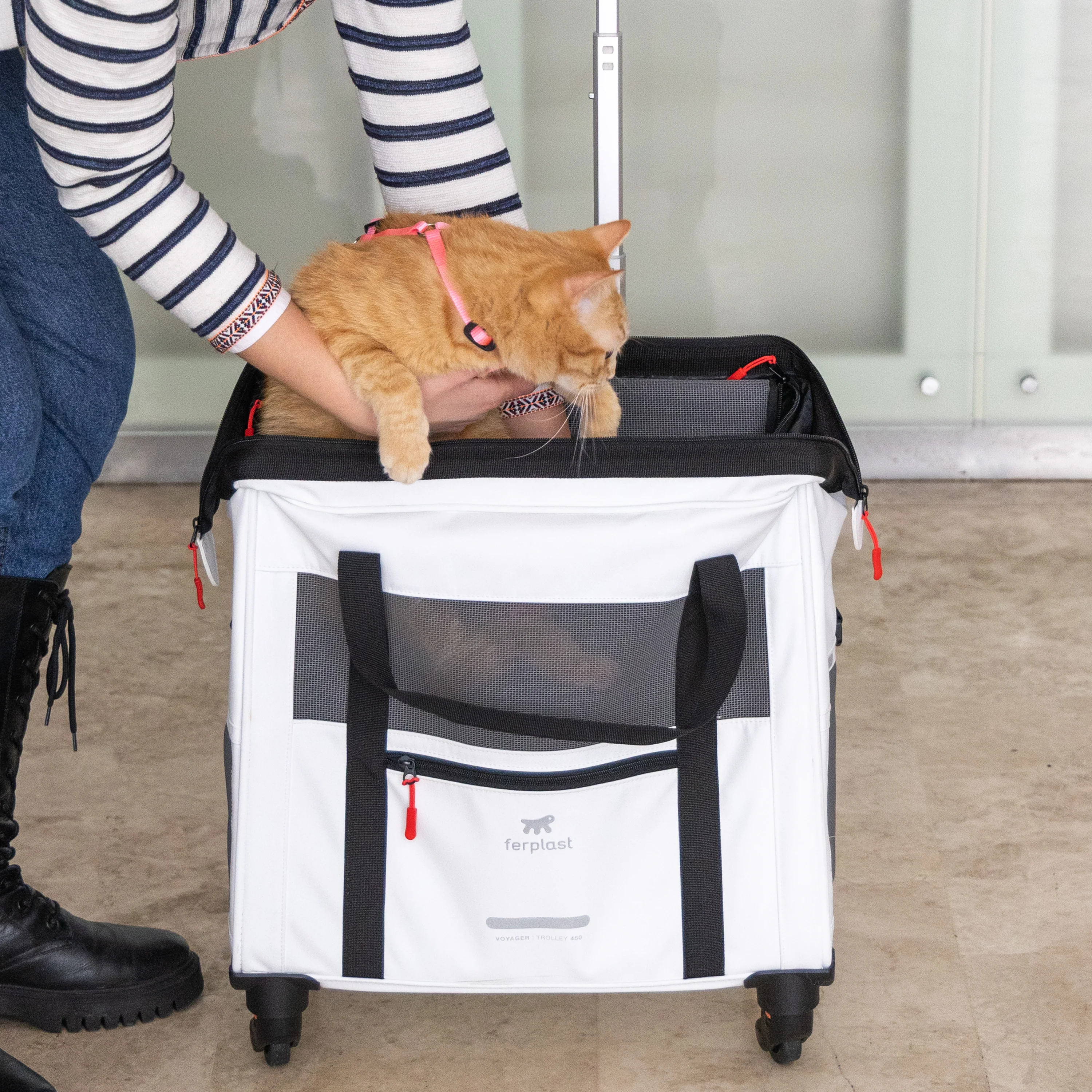 2025 Voyager Trolley von Ferplast – Stilvoller und leichter Trolley aus Kunstleder für Katzen und kleine Hunde bis 15 kg. Mit Rädern, Netzfenstern und Sicherheitsgurt – ideal für komfortables Reisen.