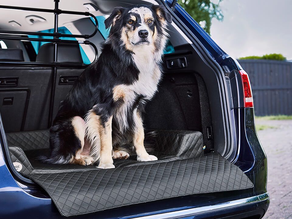 2025 Vagn Hundeseng til Bil