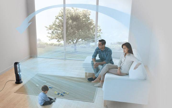 Chauffage Dyson AM09 (noir) 2025