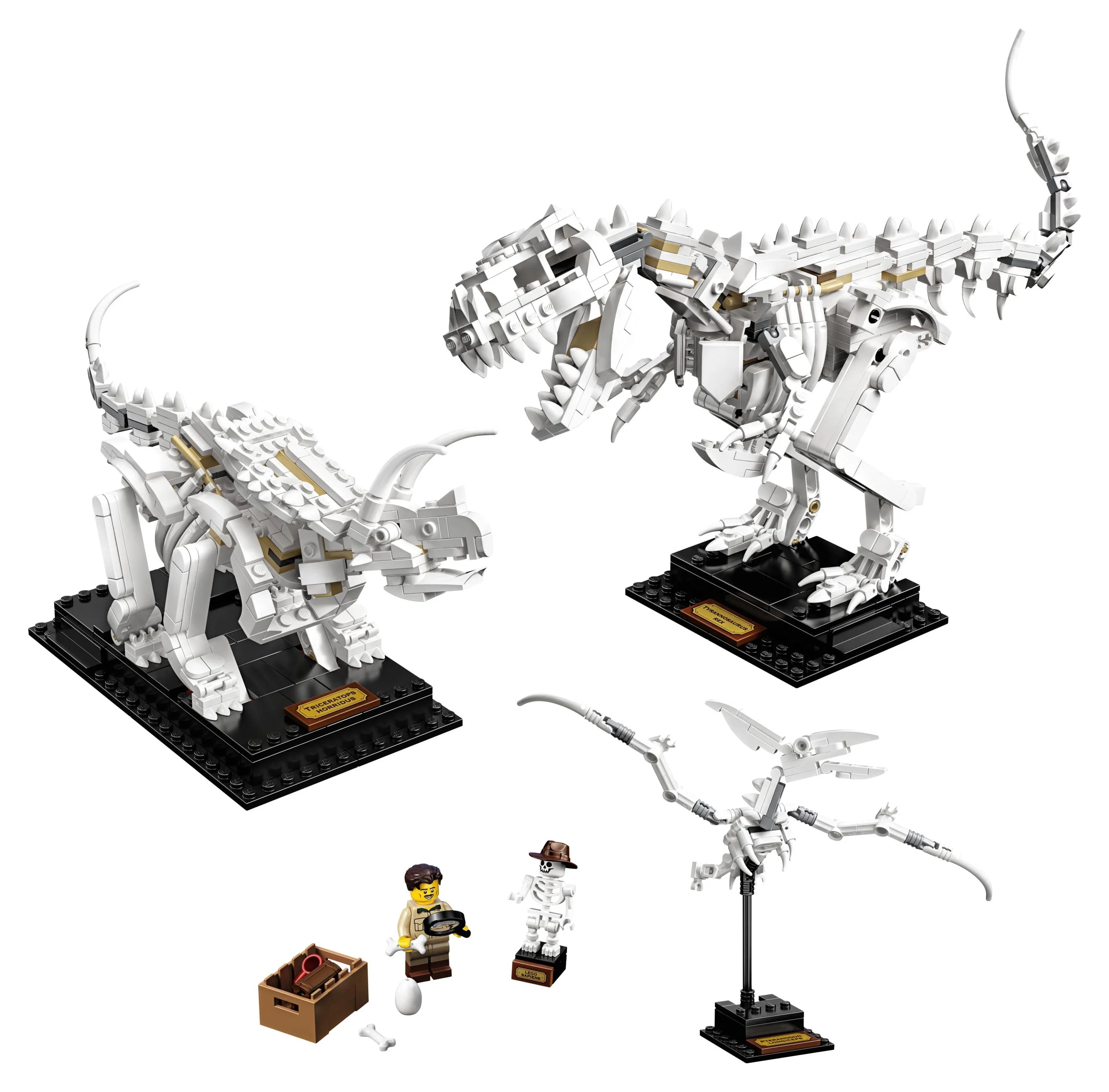 LEGO Ideas 21320 Dinosaurfossiler – Byggesæt (910 dele)