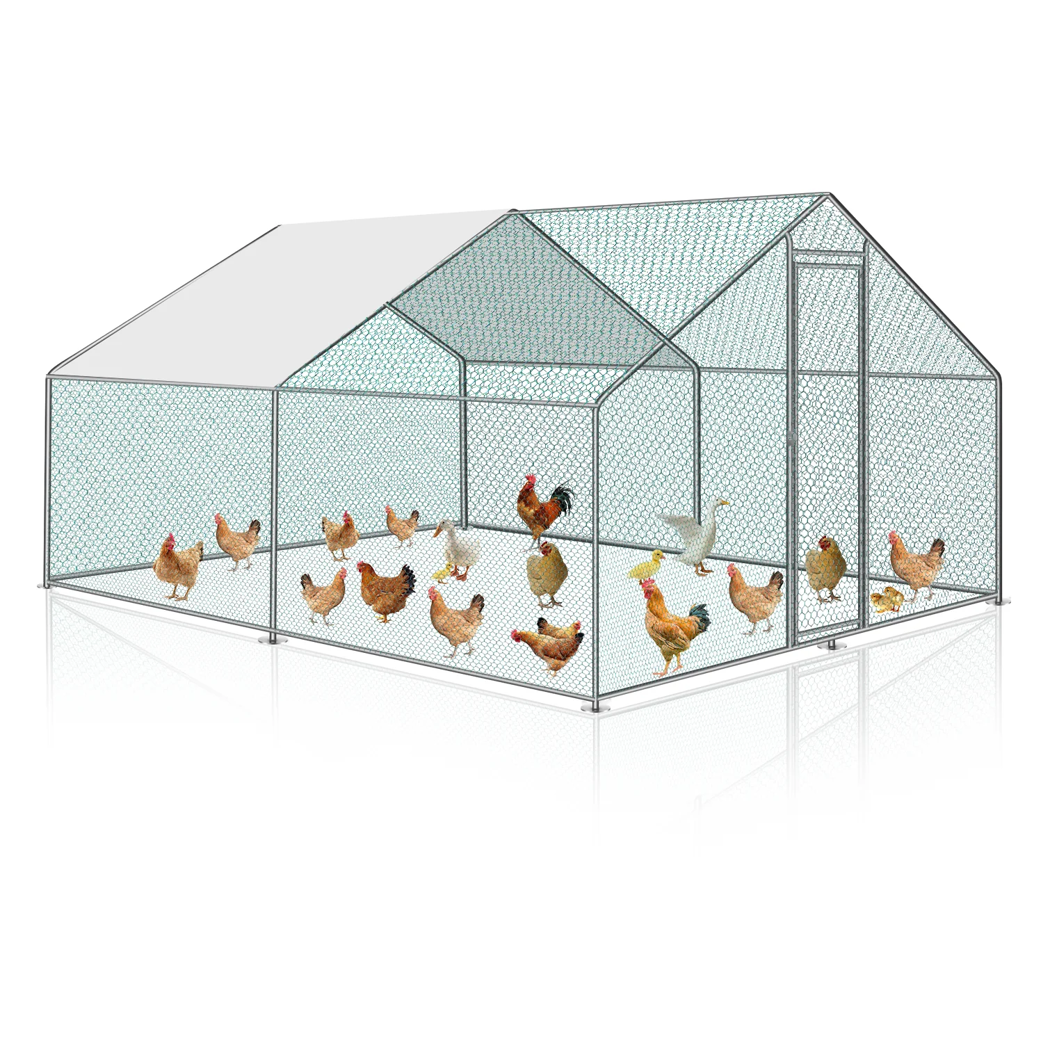 Enclos extérieur métallique Sonnewelt 2025 avec auvent pour poules – 3 x 4 x 2 m