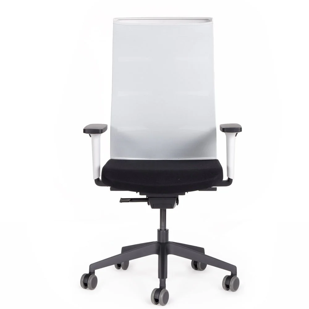 Agilis Matrix MT12 2025 Langsam verstellbarer ergonomischer Bürostuhl mit Netzrückenlehne, Sonderedition, Reines Schwarz