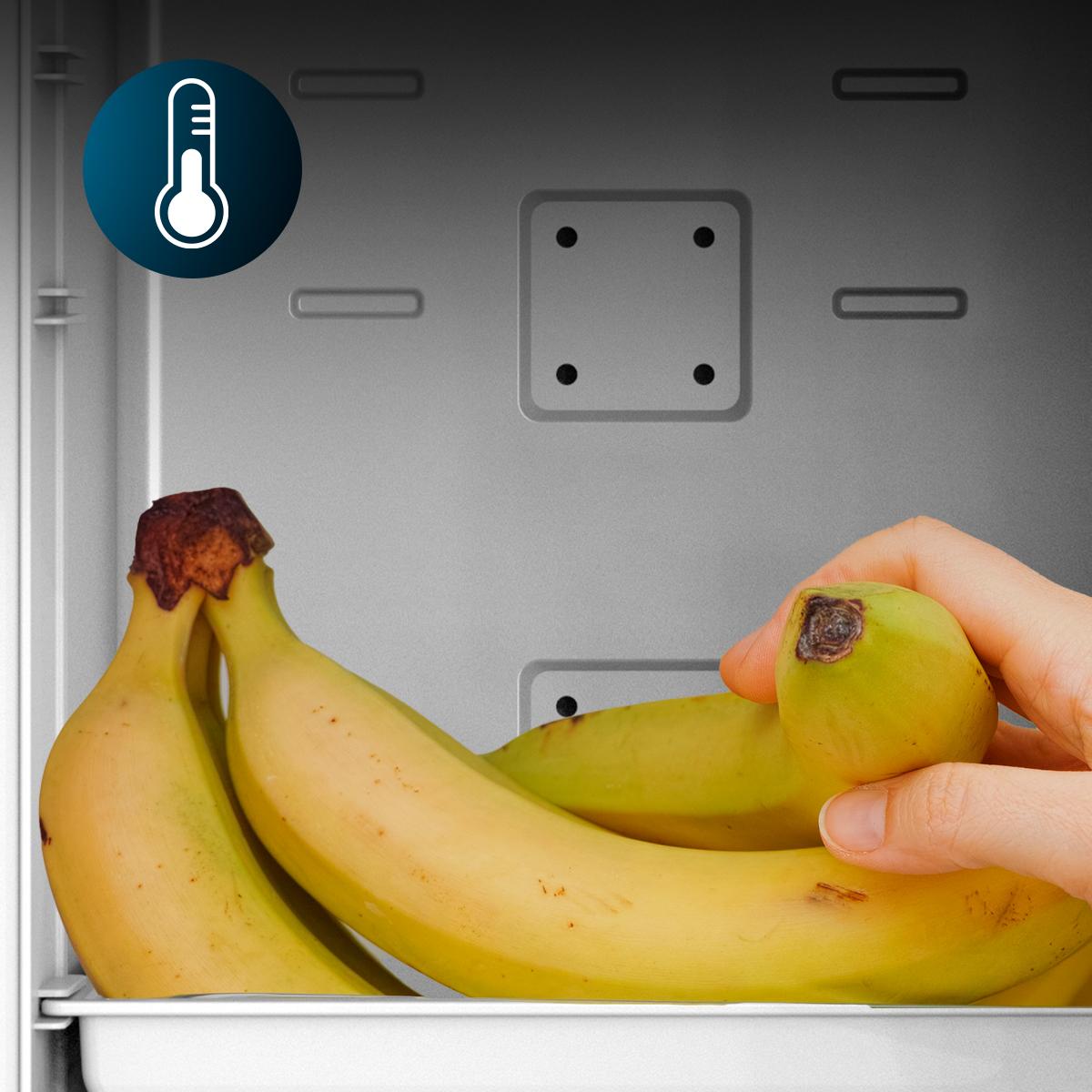 Bolero MiniCooling 25L Bahamas Mint