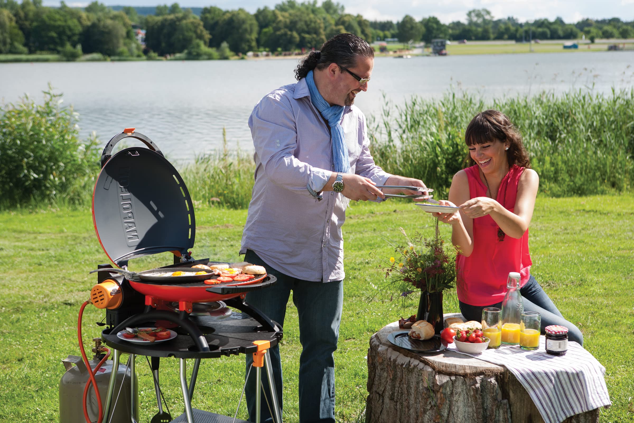 Support portable Napoleon TQ2225PO 2025