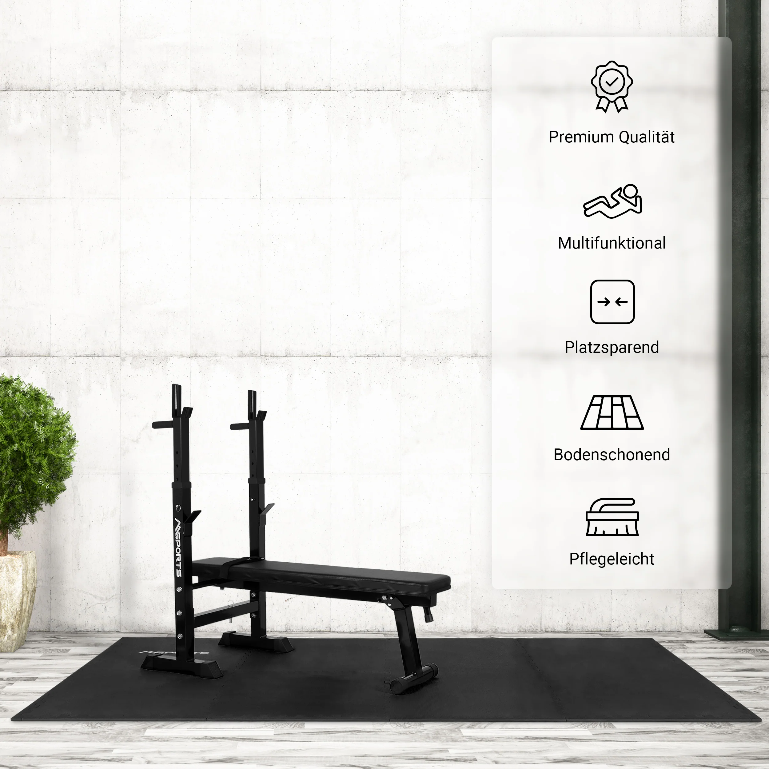 2025 Basic Home Gym Set