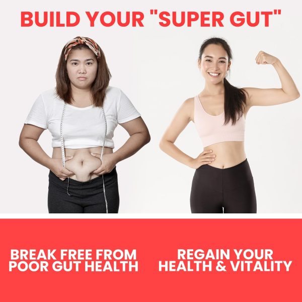 Ultimativer Probiotika-Joghurtbereiter mit zwei 1-Liter-Behältern für die Herstellung großer Mengen – Produziert Billionen lebender Probiotika mit einstellbarer Temperatur und Zeit – Der beste Joghurtbereiter für griechischen Joghurt – LEBENSLANGE GA