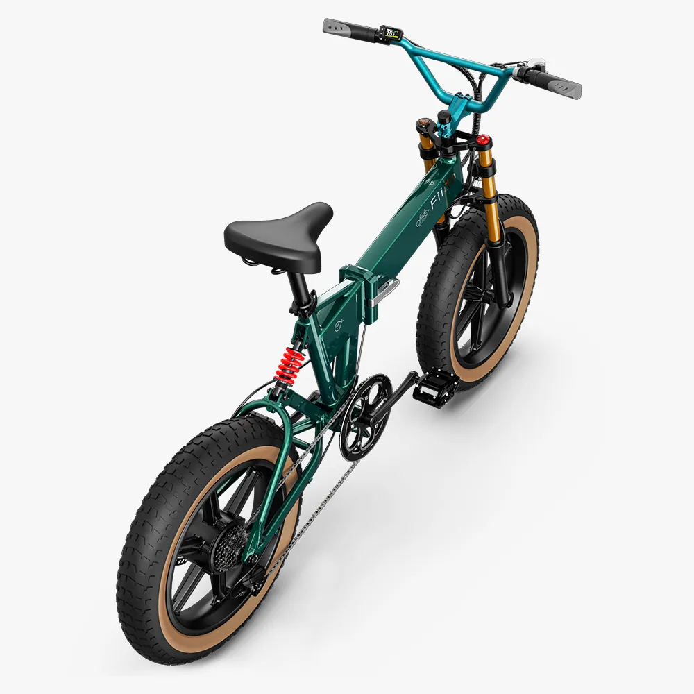 2025 Fiido M1 Pro Elektro-Fatbike mit großem Rad