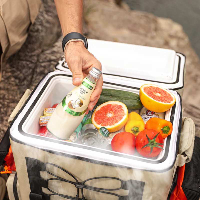 2025 Litheli FrozenPack – Tragbare Kühlbox im Rucksackformat