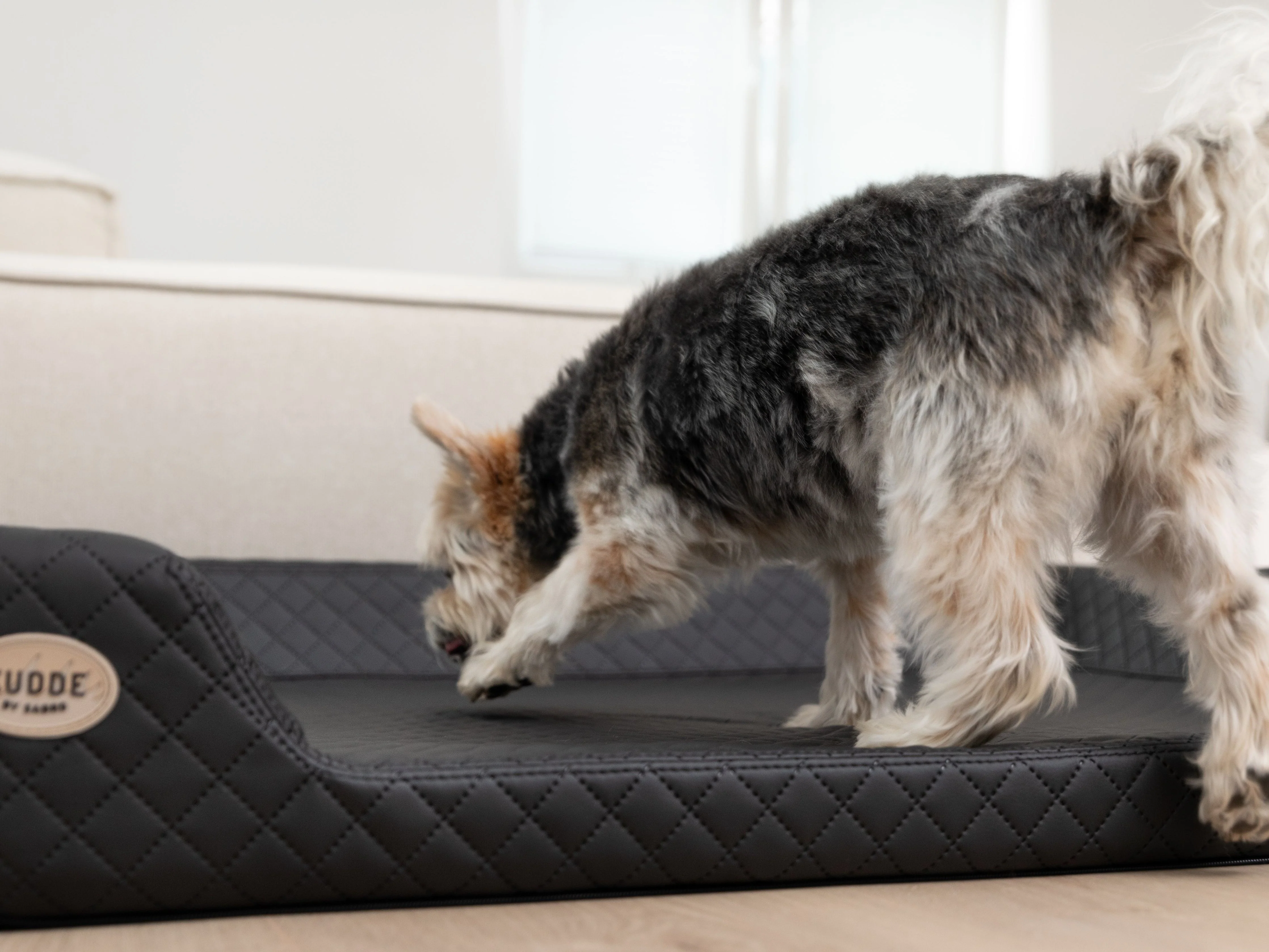 2025 Hemma Hundeseng