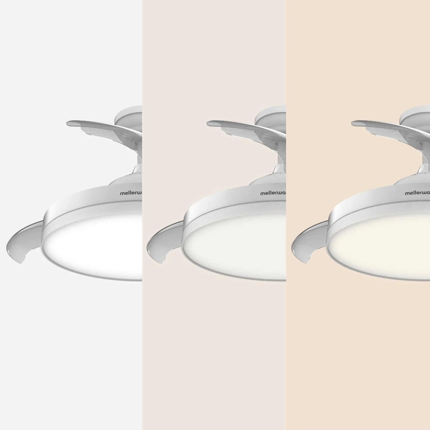 Brizy Bright Foldbar