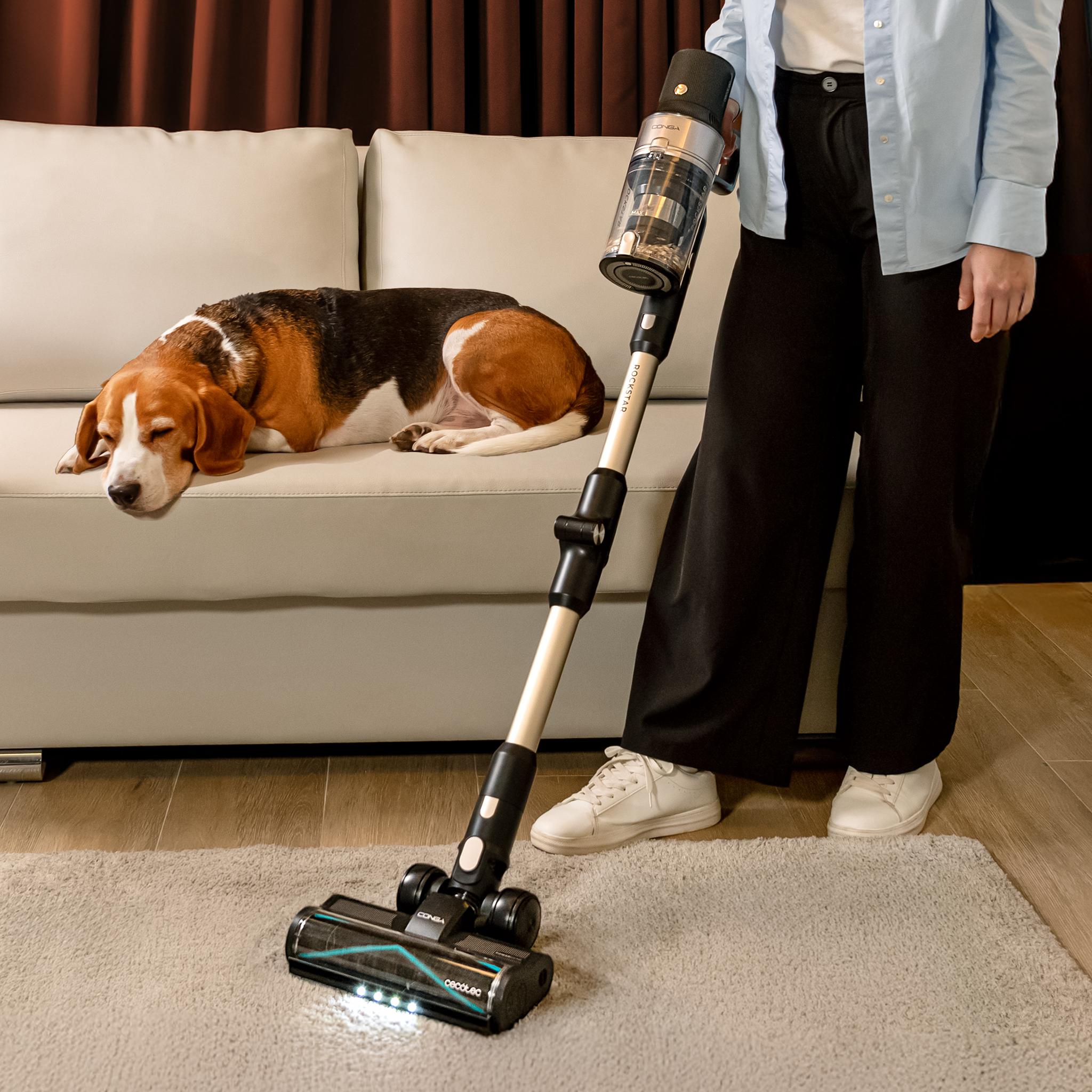 Rockstar 5500 Hurricane Station Pet Flex Conga