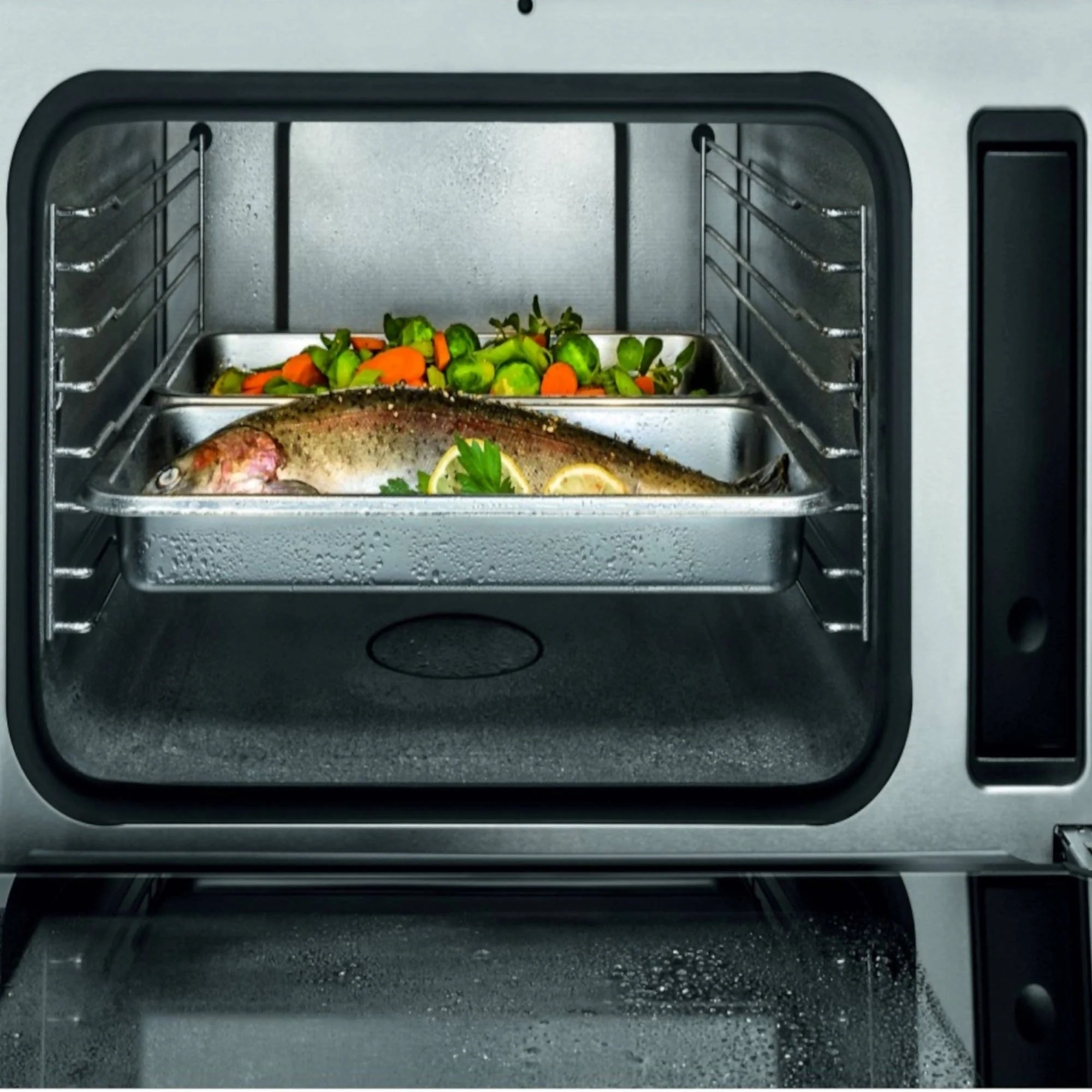 2025 Miele DG 2840 Indbygget dampovn