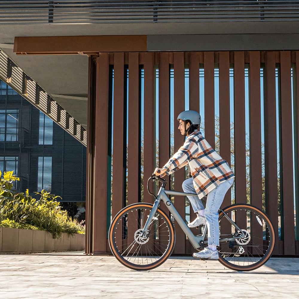 Sprint Silver Elektrofahrrad