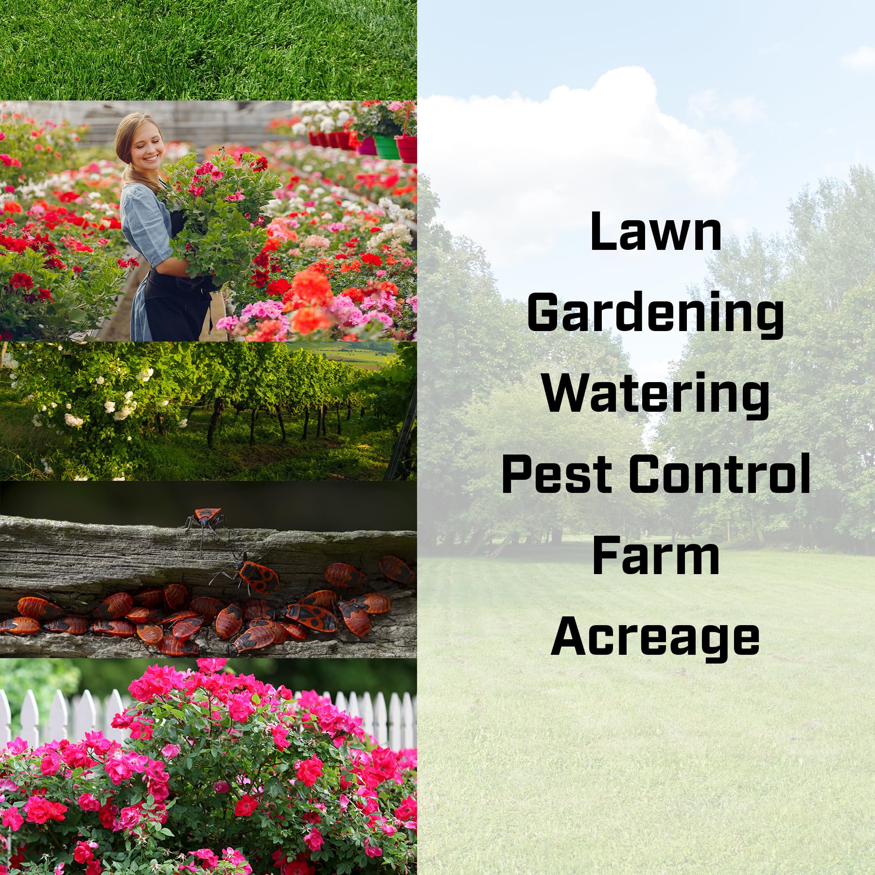 Chapin 63924 Sprühgerät für Düngemittel, Herbizide und Pestizide