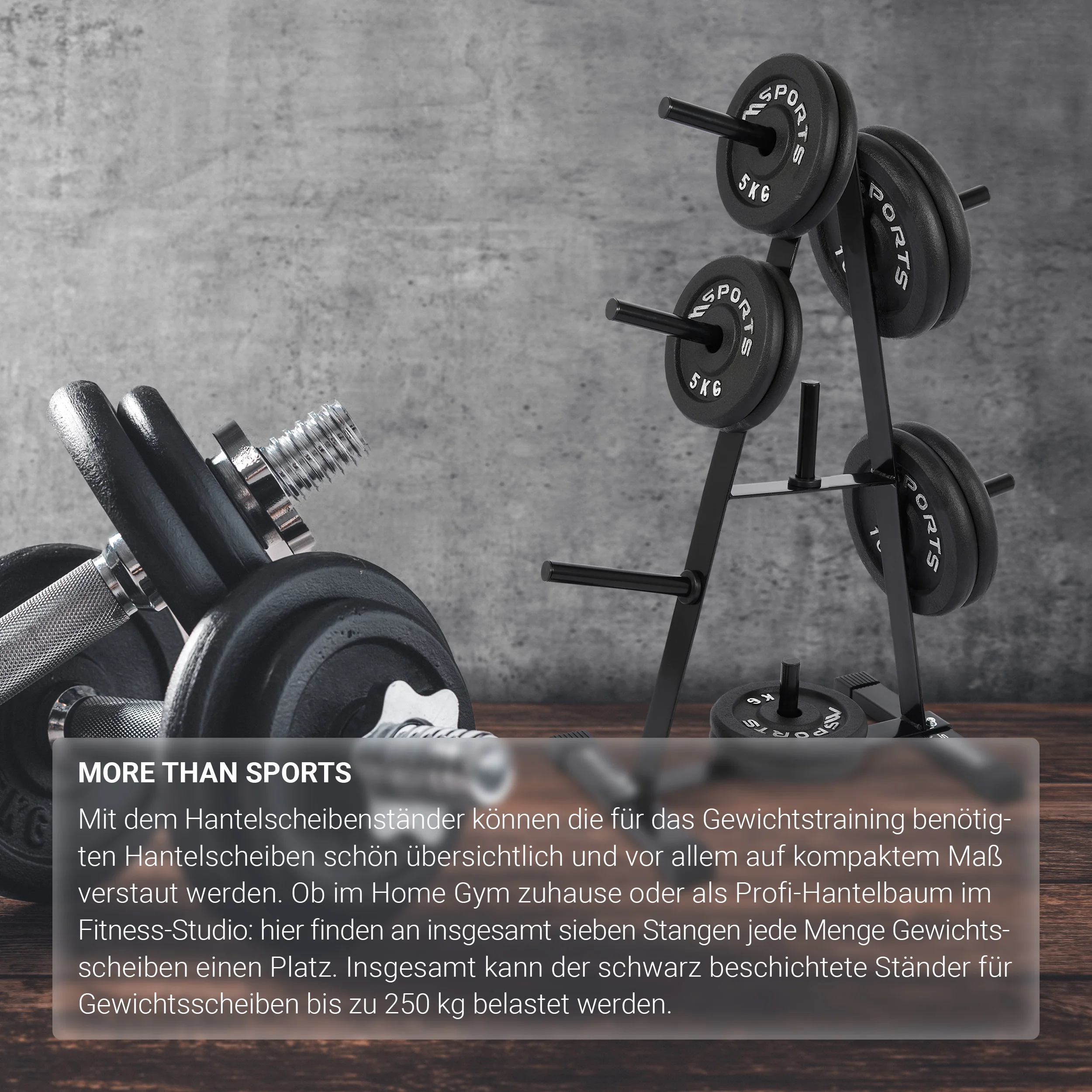 Premium-Hantelscheibenständer 2025