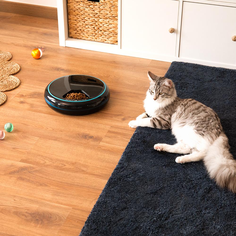 Pumba 1600 Purrfect Meal