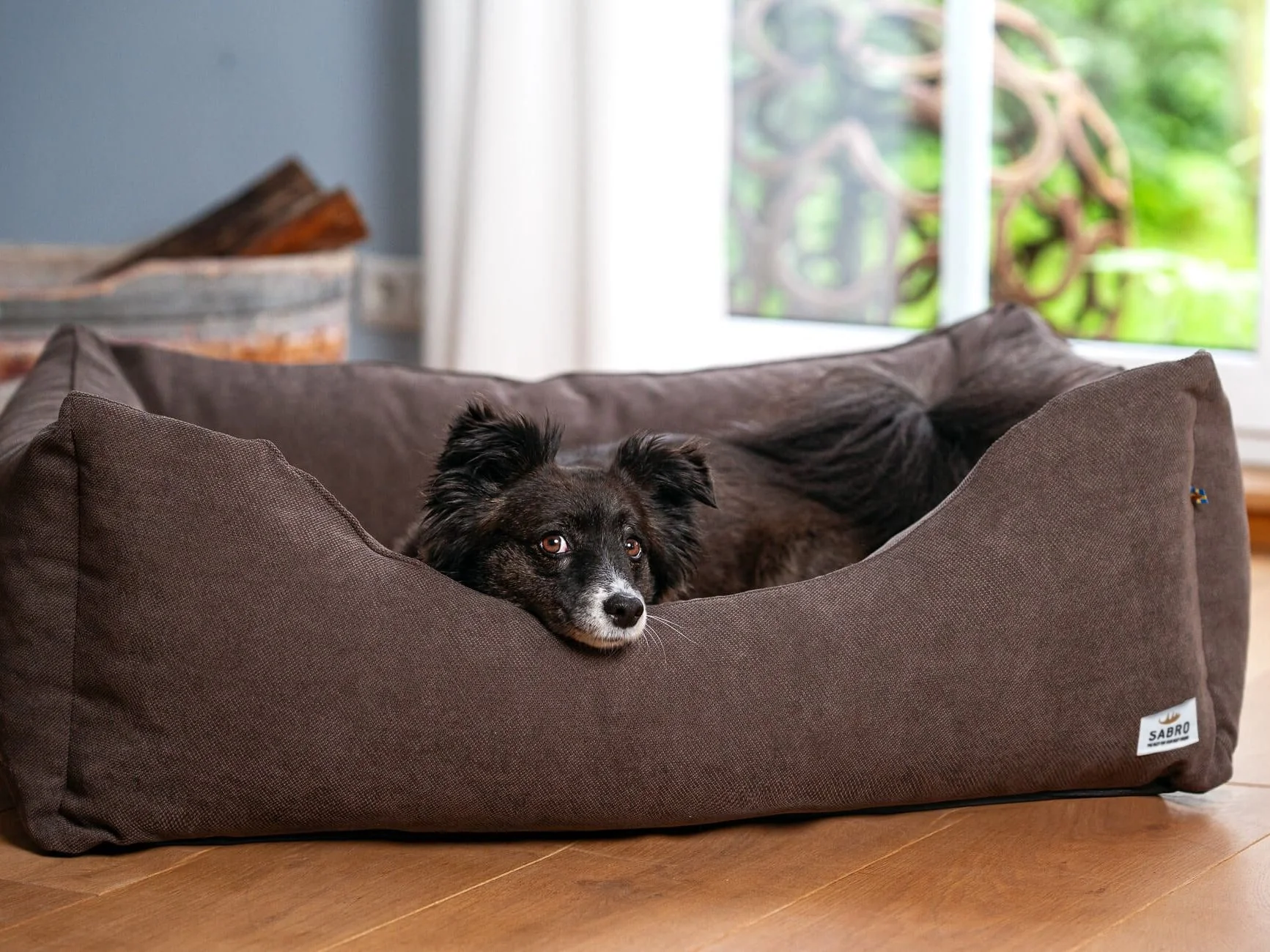 2025 LALELU Hundeseng