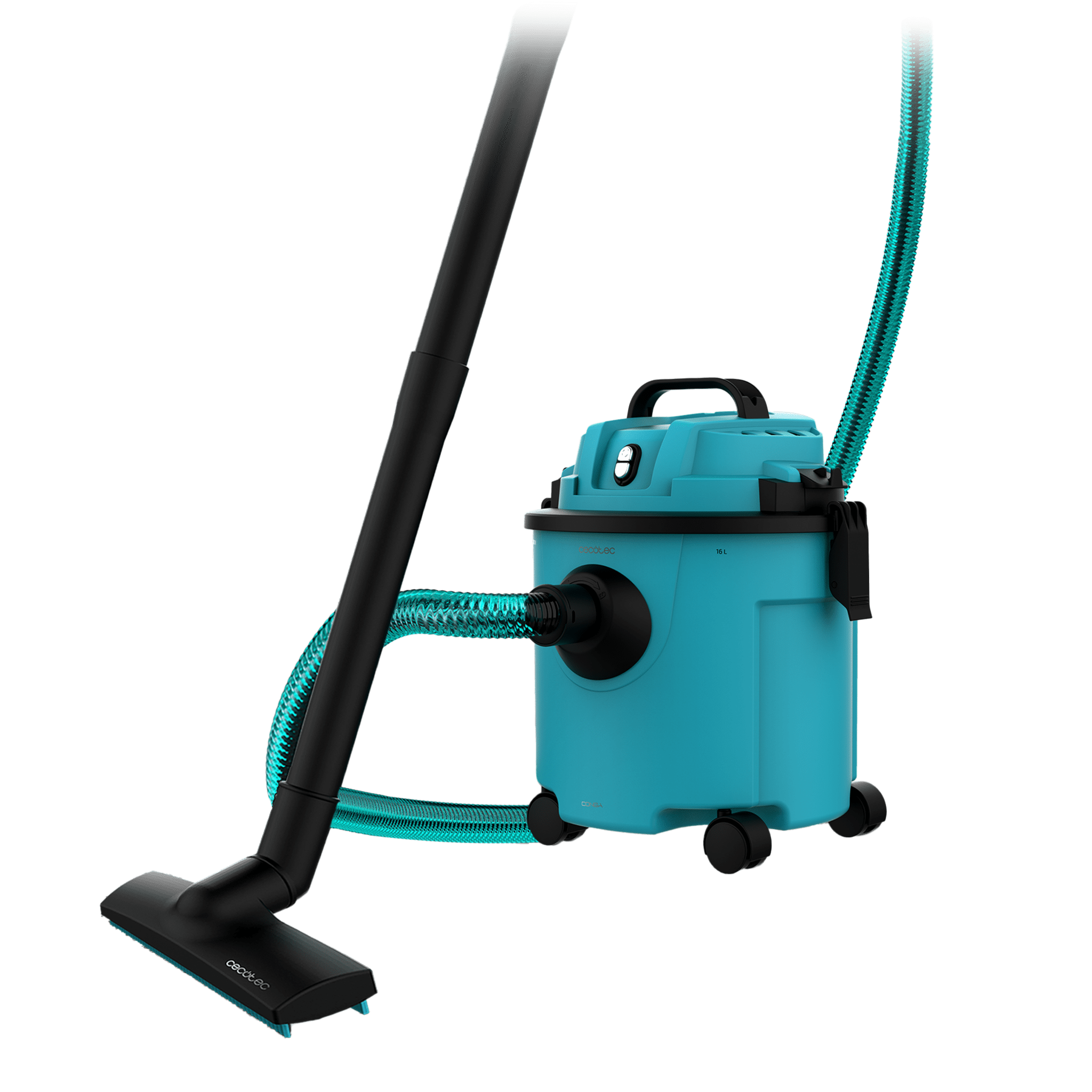 Rockstar Nass- und Trockenkompaktgarten Plus Conga