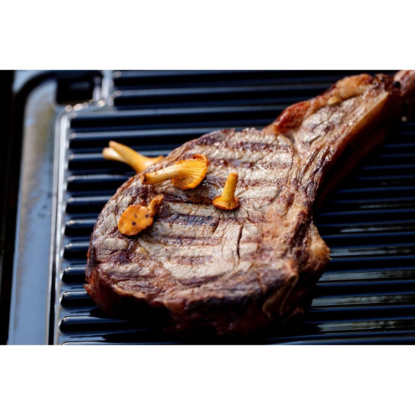 Campingaz Blue Flame XD Doppel-Gasgrill