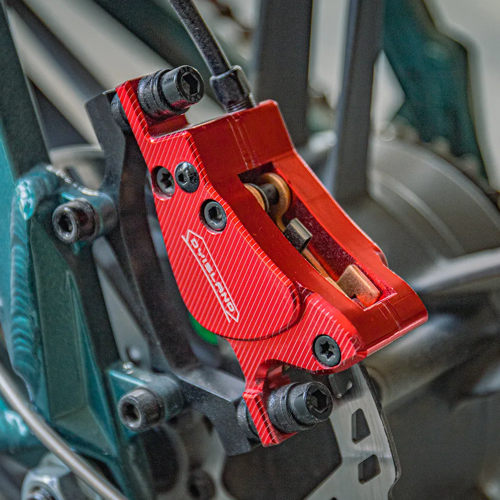 2025 Fiido M1 Pro Elektro-Fatbike mit großem Rad