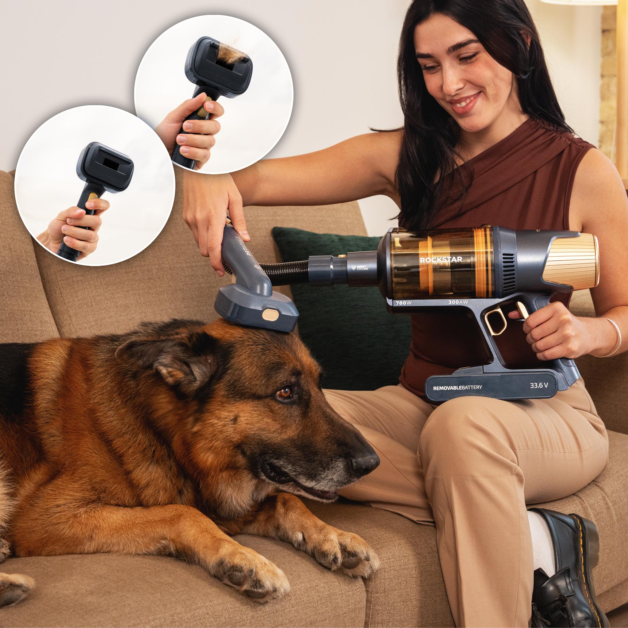 Rockstar 10500 Solar AquaPet Flex Conga