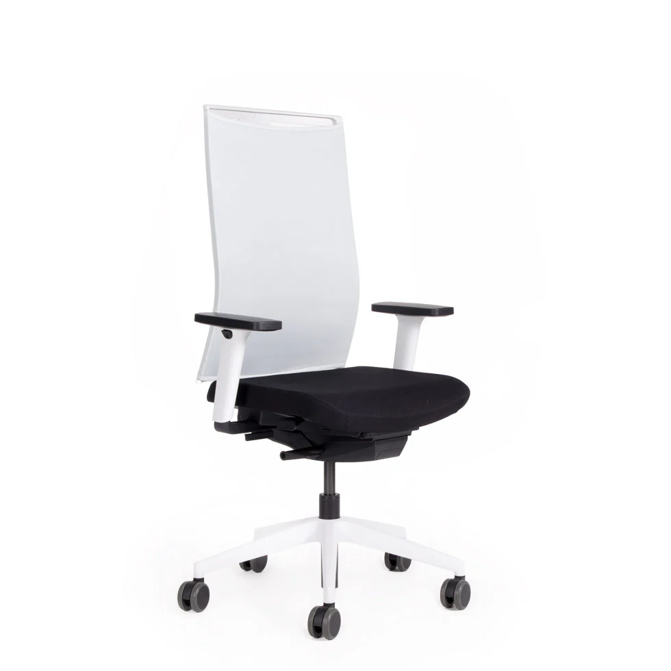 Agilis Matrix MT12 2025 Langsam verstellbarer ergonomischer Bürostuhl mit Netzrückenlehne, Sonderedition, Reines Schwarz
