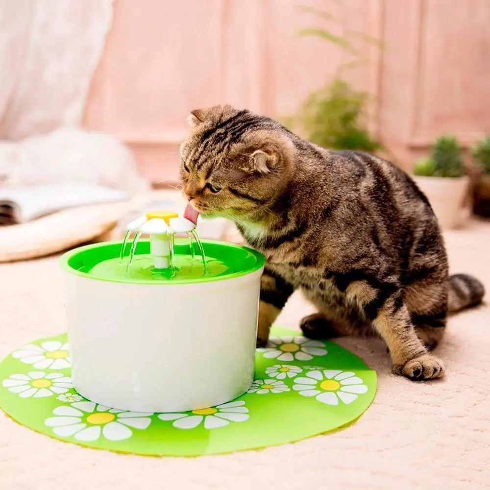Automatischer Trinkbrunnen für Haustiere: Wasserspender für Katzen und Hunde