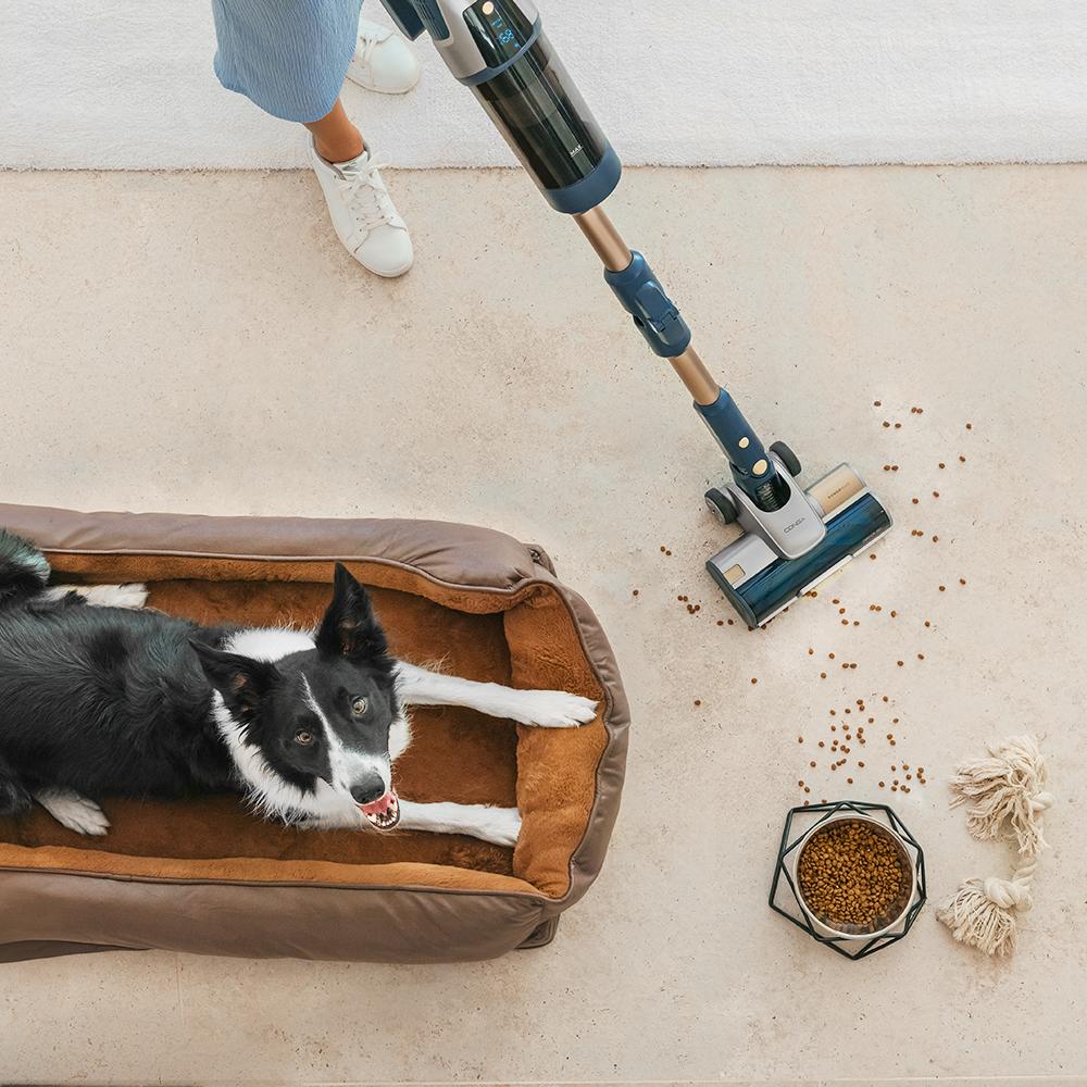 Rockstar 11490 Odyssey Station Connected IA Conga