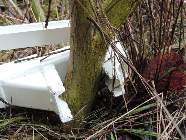 Pullerbear Baumzieher und Unkrautzieher