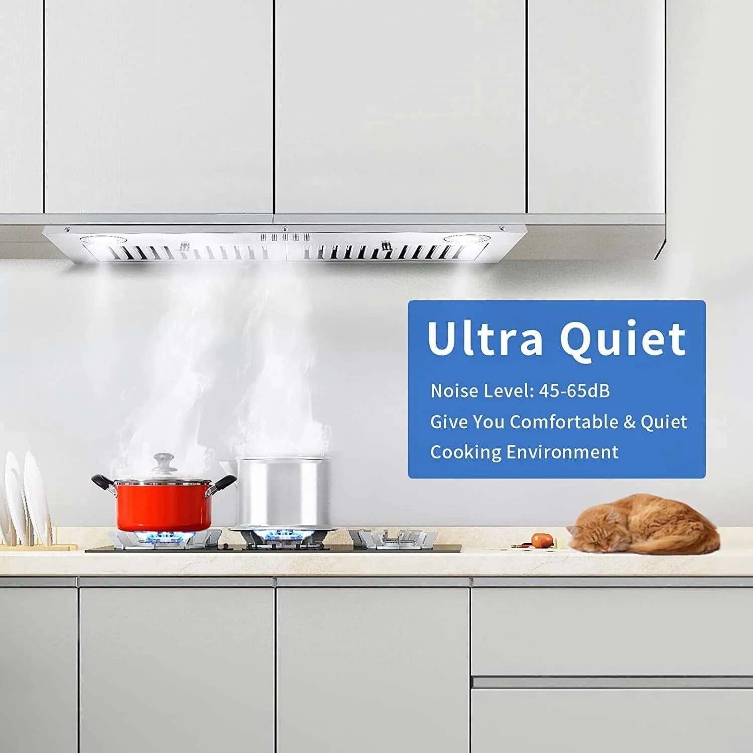 Zomagas 30-tommer indbygget emhætte i rustfrit stål, 600 CFM, med LED-belysning