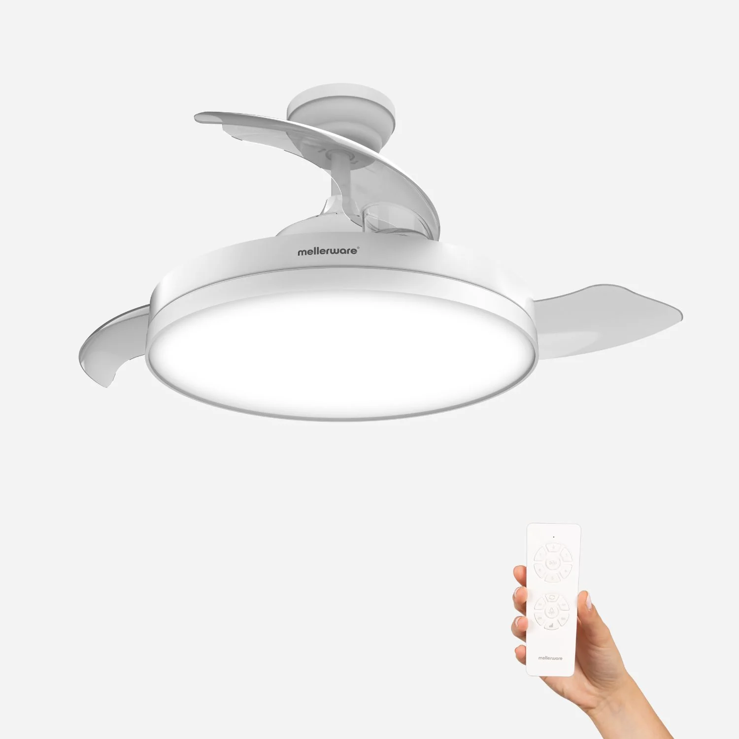 Brizy Bright Faltbar