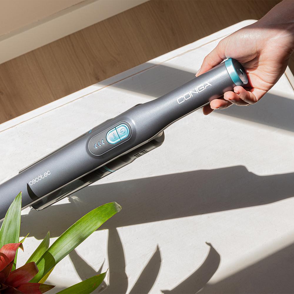 Rockstar Micro+ Clean&Car Conga